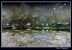 Ice, water and lake floor meeting point… by Sven Tramaux 